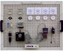 1488859646138476.jpg 11.jpg